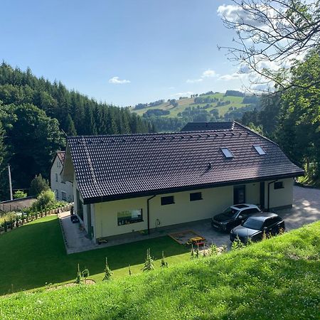 Apartman Peklo Vrchlabí エクステリア 写真