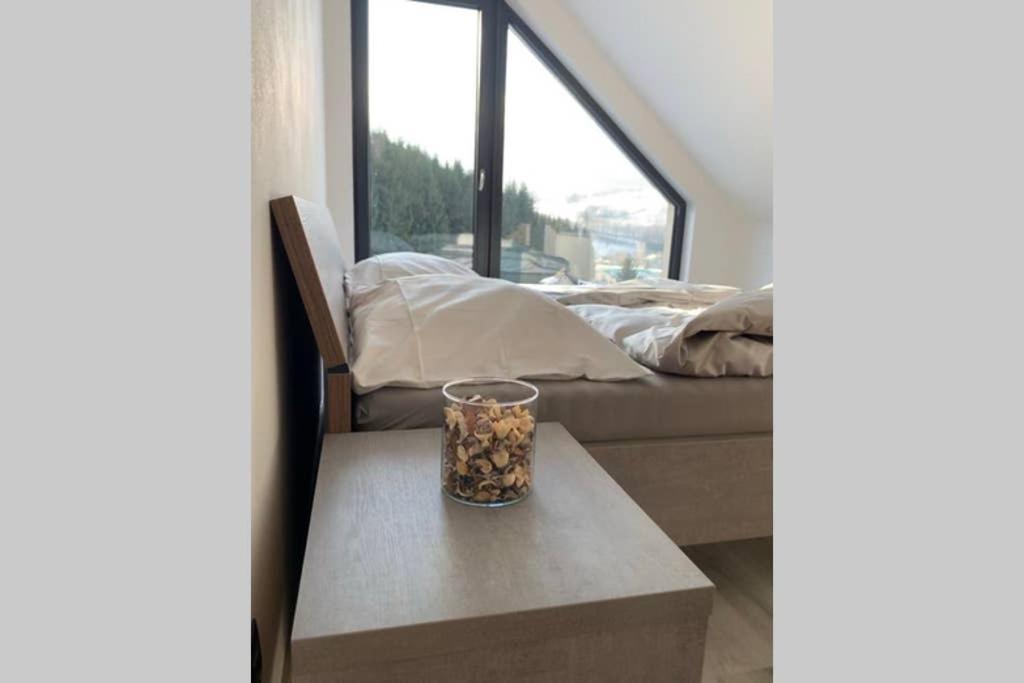 Apartman Peklo Vrchlabí エクステリア 写真